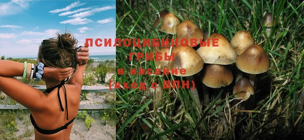 прущая мука Вяземский