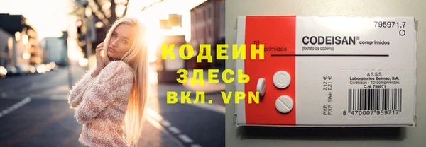 прущая мука Вяземский