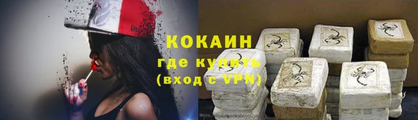 прущая мука Вяземский