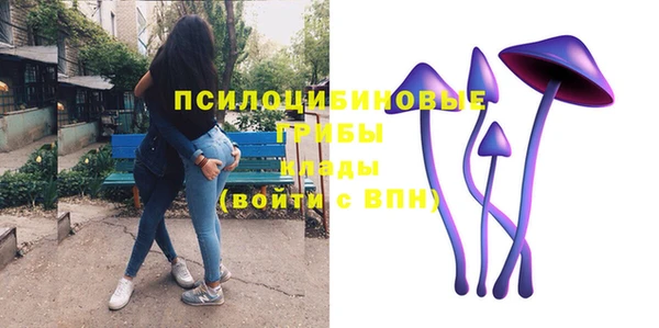 прущая мука Вязники