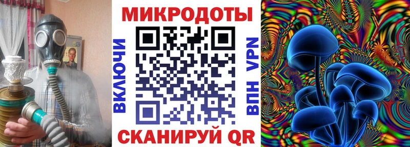 наркота  Луза  Галлюциногенные грибы мицелий 